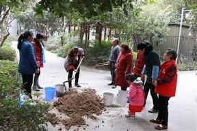 海角社区HJA8：探索社区文化，分享生活点滴与趣闻趣事