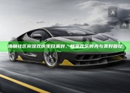 海角社区宾馆欢庆生日派对，畅享欢乐时光与美好回忆